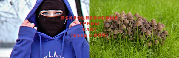 наркотики Лиски