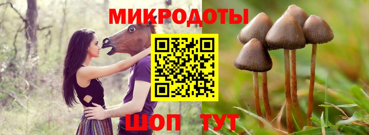 Псилоцибиновые грибы Magic Shrooms Октябрьский