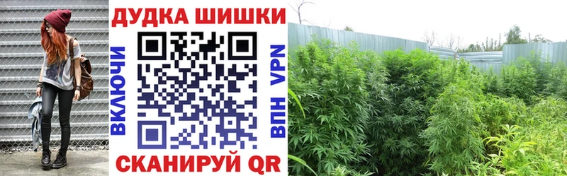Каннабис ГИДРОПОН  ОМГ ОМГ как зайти  Октябрьский 
